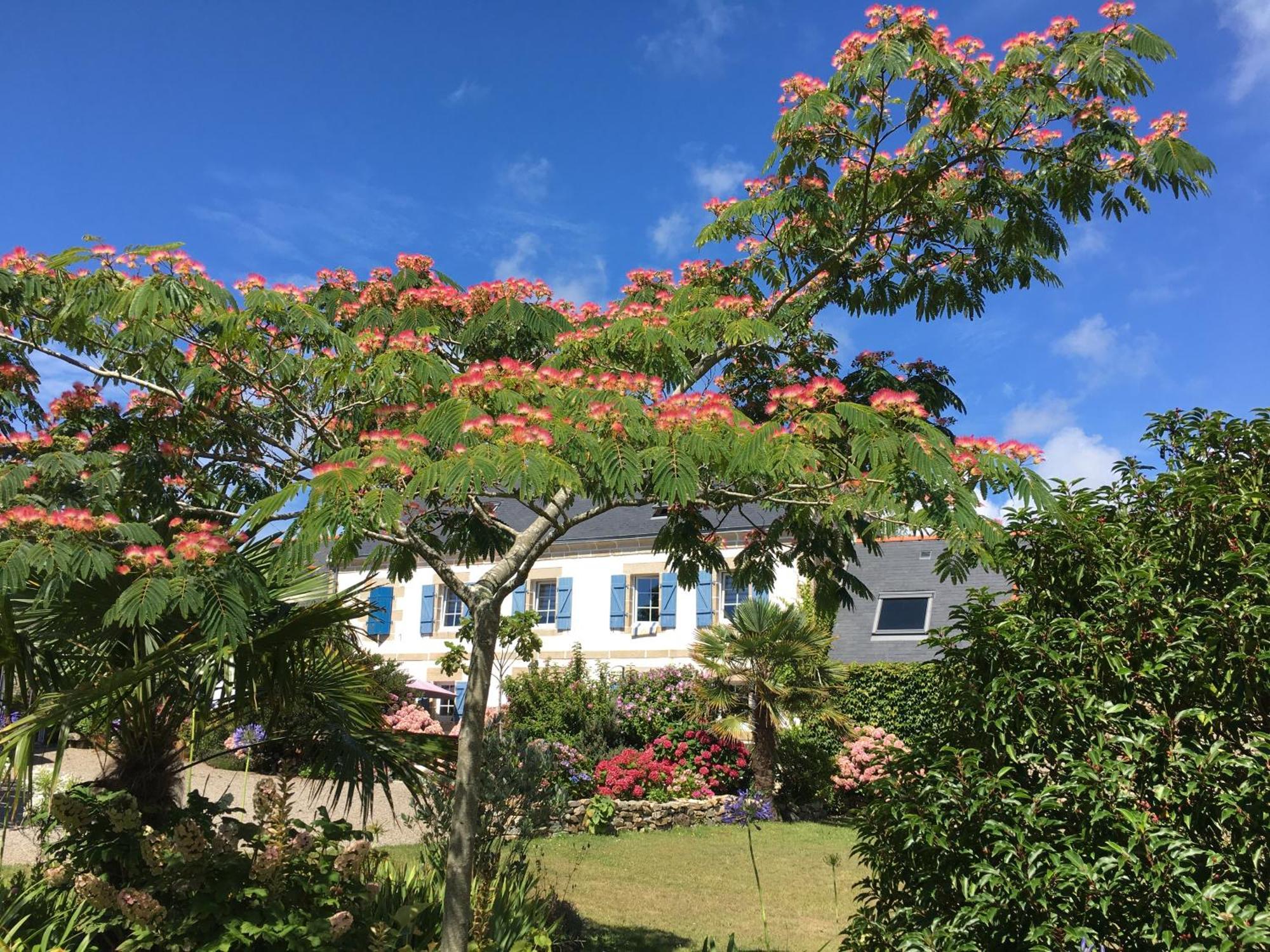 La Ferme De Kerivoas Bed & Breakfast Audierne Ngoại thất bức ảnh